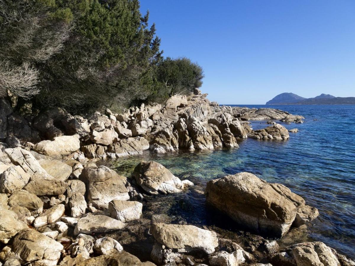 Apartment La Nina By Interhome Porto Rotondo Dış mekan fotoğraf